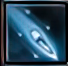 poison_1_.png poison_1_.png
