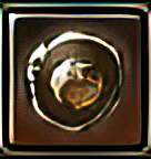 protection_.png protection_.png