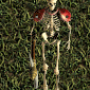 capture_d_ecran_2024-05-17_012622.png