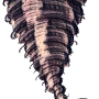 air_spell_-_2-art-scale-2_00x-gigapixel.png