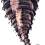air_spell_-_2-art-scale-2_00x-gigapixel.png